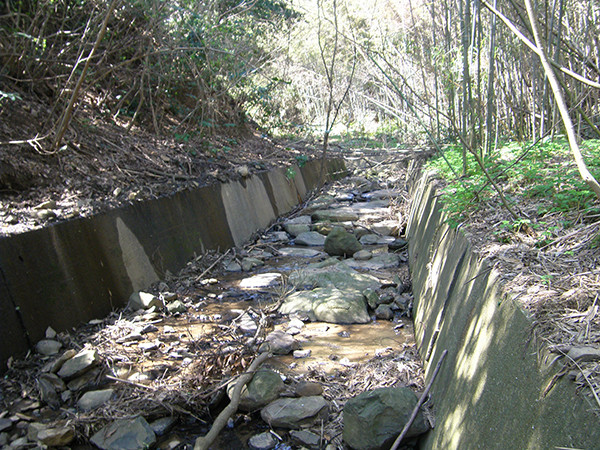 f:id:OIKAWAMARU:20150325164104j:image