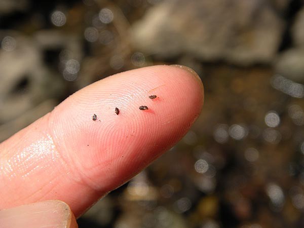 f:id:OIKAWAMARU:20150330174323j:image f:id:OIKAWAMARU:20150330174323j:image