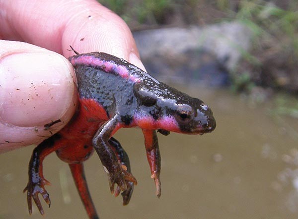 f:id:OIKAWAMARU:20150330174333j:image f:id:OIKAWAMARU:20150330174333j:image