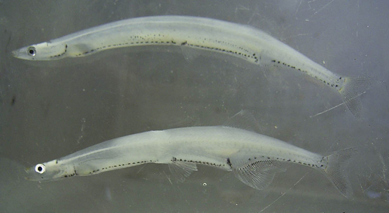 f:id:OIKAWAMARU:20150402131541j:image f:id:OIKAWAMARU:20150402131541j:image