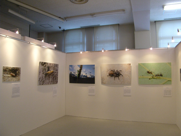 f:id:OIKAWAMARU:20150421225352j:image f:id:OIKAWAMARU:20150421225352j:image