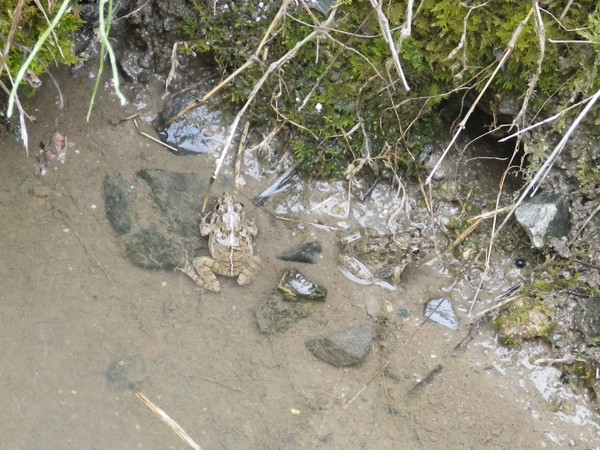 f:id:OIKAWAMARU:20150608213028j:image f:id:OIKAWAMARU:20150608213028j:image