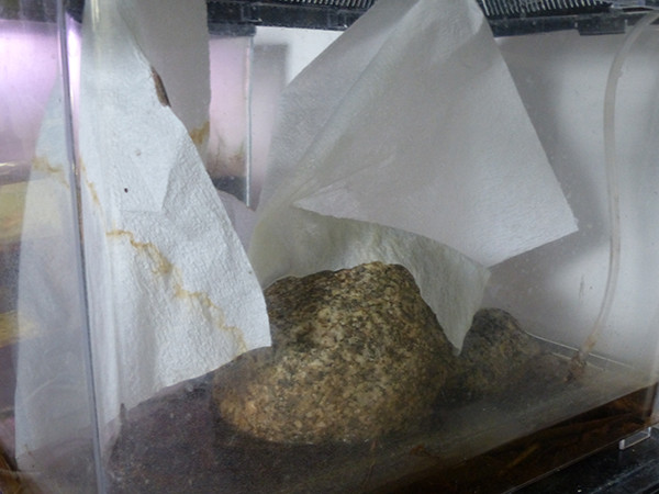 f:id:OIKAWAMARU:20150612082359j:image