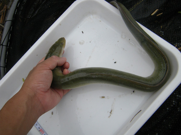 f:id:OIKAWAMARU:20150617225016j:image f:id:OIKAWAMARU:20150617225016j:image