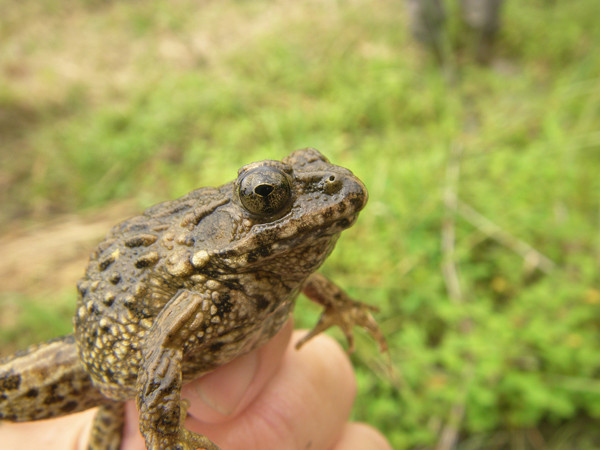 f:id:OIKAWAMARU:20150620212026j:image f:id:OIKAWAMARU:20150620212026j:image