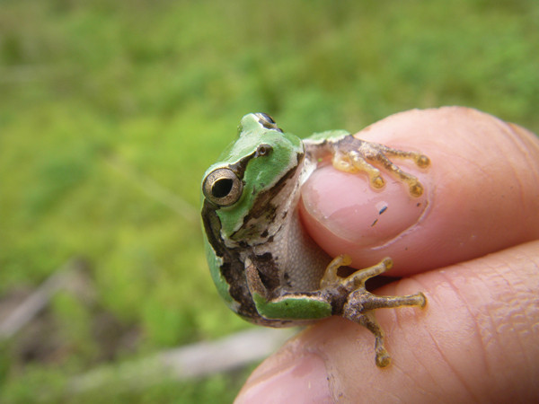 f:id:OIKAWAMARU:20150620212027j:image f:id:OIKAWAMARU:20150620212027j:image