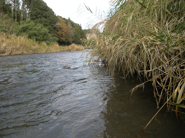 f:id:OIKAWAMARU:20151222173003j:image
