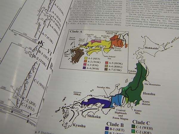 f:id:OIKAWAMARU:20160201140351j:image