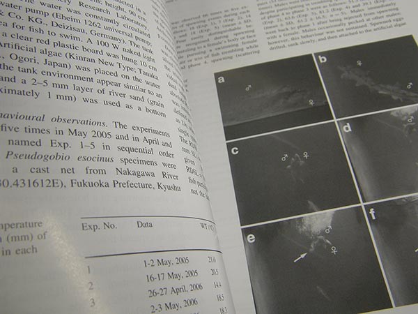 f:id:OIKAWAMARU:20160201140352j:image