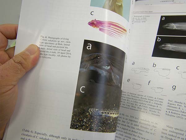 f:id:OIKAWAMARU:20160201140353j:image