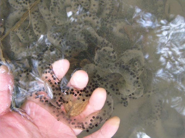 f:id:OIKAWAMARU:20160214211632j:image f:id:OIKAWAMARU:20160214211632j:image