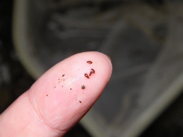 f:id:OIKAWAMARU:20160214211634j:image f:id:OIKAWAMARU:20160214211634j:image