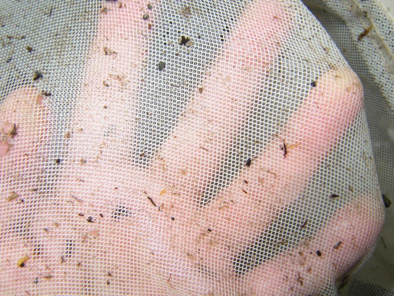 f:id:OIKAWAMARU:20160214211640j:image f:id:OIKAWAMARU:20160214211640j:image