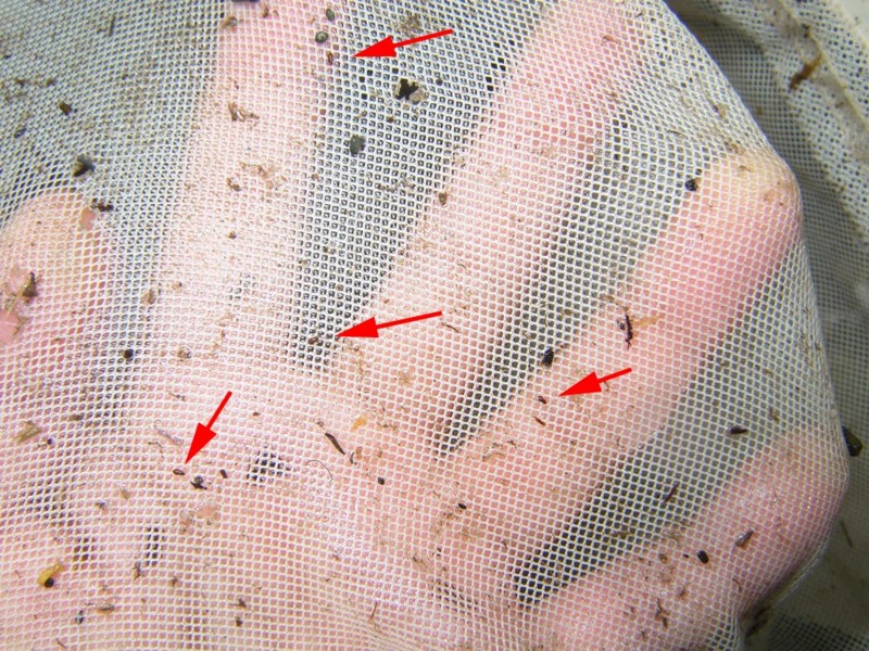 f:id:OIKAWAMARU:20160214211843j:image f:id:OIKAWAMARU:20160214211843j:image