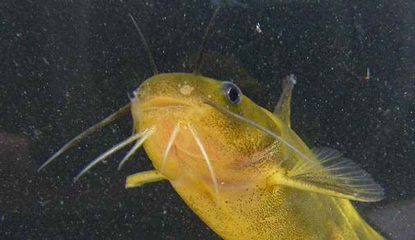 f:id:OIKAWAMARU:20160226080732j:image