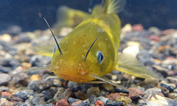 f:id:OIKAWAMARU:20160226080734j:image