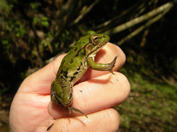 f:id:OIKAWAMARU:20160501151548j:image