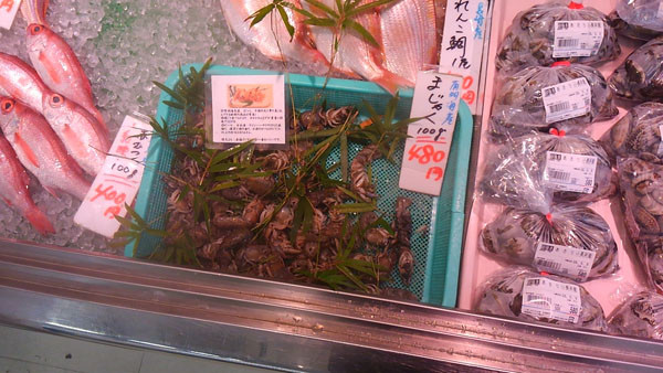 f:id:OIKAWAMARU:20160508201746j:image