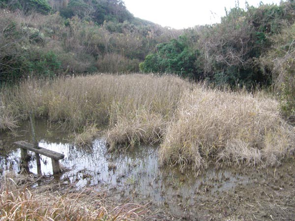 f:id:OIKAWAMARU:20170110221700j:image f:id:OIKAWAMARU:20170110221700j:image