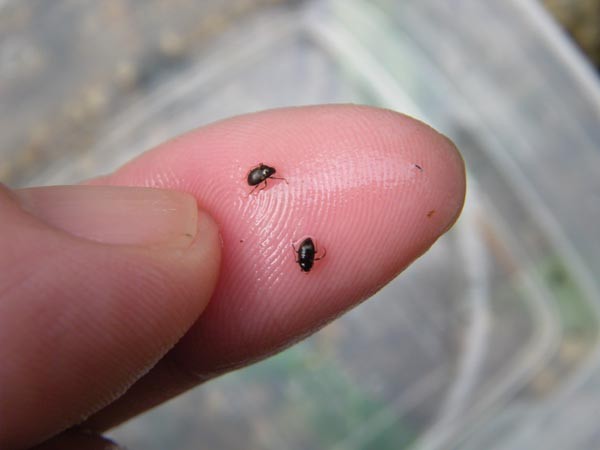 f:id:OIKAWAMARU:20170110221702j:image f:id:OIKAWAMARU:20170110221702j:image