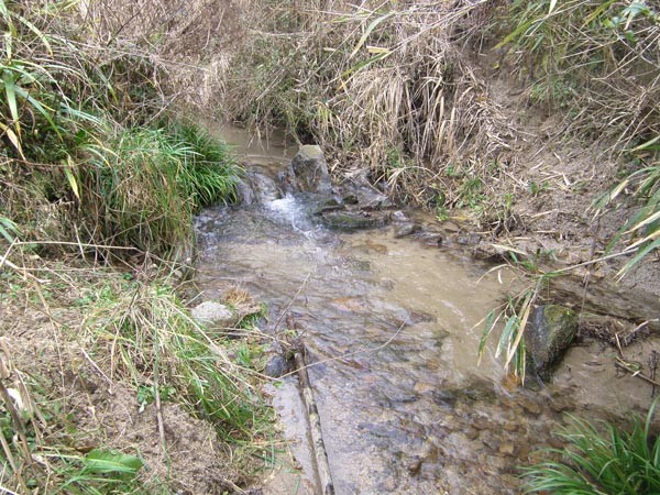 f:id:OIKAWAMARU:20170110221703j:image f:id:OIKAWAMARU:20170110221703j:image