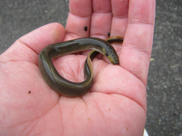 f:id:OIKAWAMARU:20170201212010j:image f:id:OIKAWAMARU:20170201212010j:image