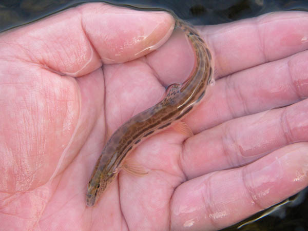 f:id:OIKAWAMARU:20170201212014j:image f:id:OIKAWAMARU:20170201212014j:image