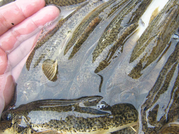 f:id:OIKAWAMARU:20170201212019j:image f:id:OIKAWAMARU:20170201212019j:image