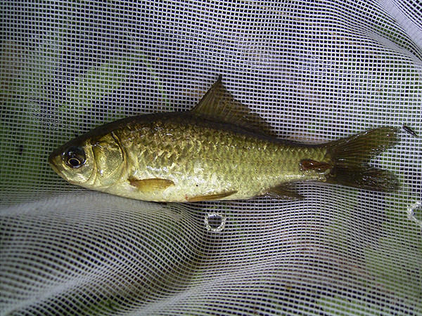 f:id:OIKAWAMARU:20170207181918j:image