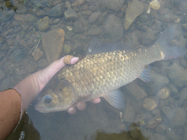 f:id:OIKAWAMARU:20170207181920j:image