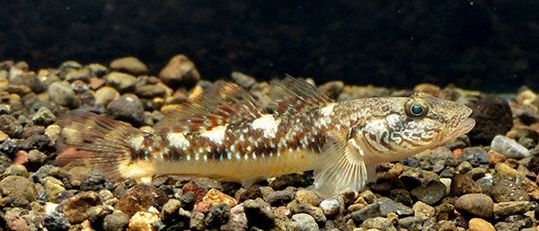 f:id:OIKAWAMARU:20170301093029j:image f:id:OIKAWAMARU:20170301093029j:image