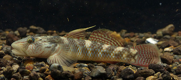 f:id:OIKAWAMARU:20170301093031j:image f:id:OIKAWAMARU:20170301093031j:image