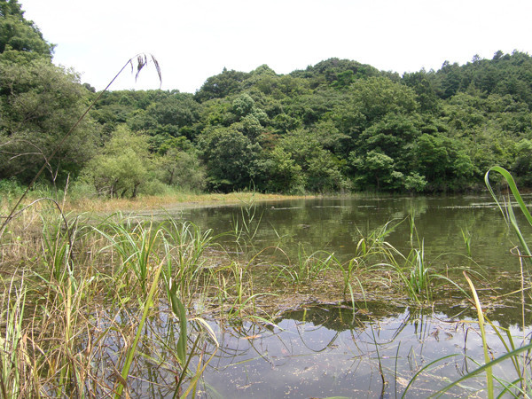 f:id:OIKAWAMARU:20170709213122j:image f:id:OIKAWAMARU:20170709213122j:image