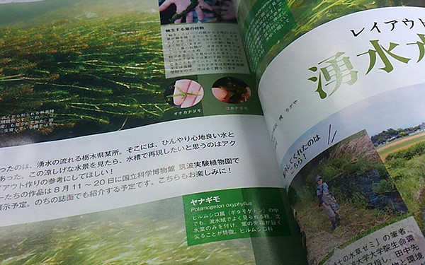 f:id:OIKAWAMARU:20170712100622j:image