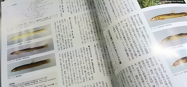 f:id:OIKAWAMARU:20170712100625j:image