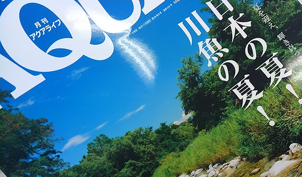 f:id:OIKAWAMARU:20170712100629j:image