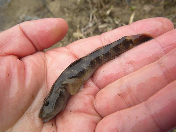 f:id:OIKAWAMARU:20180301083524j:image f:id:OIKAWAMARU:20180301083524j:image