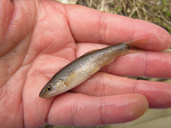 f:id:OIKAWAMARU:20180301083527j:image f:id:OIKAWAMARU:20180301083527j:image