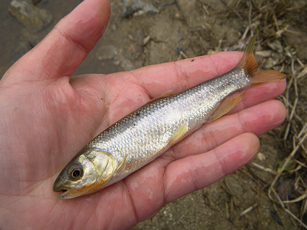 f:id:OIKAWAMARU:20180301083531j:image f:id:OIKAWAMARU:20180301083531j:image