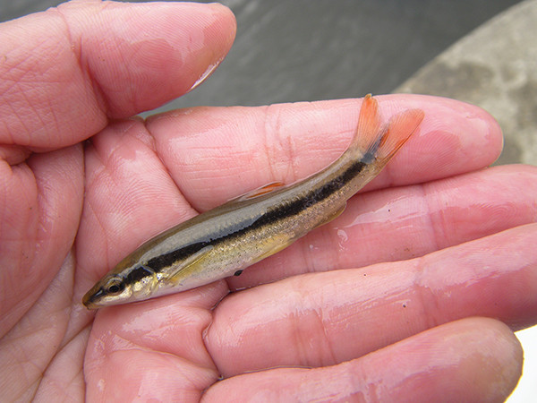 f:id:OIKAWAMARU:20180301083534j:image f:id:OIKAWAMARU:20180301083534j:image