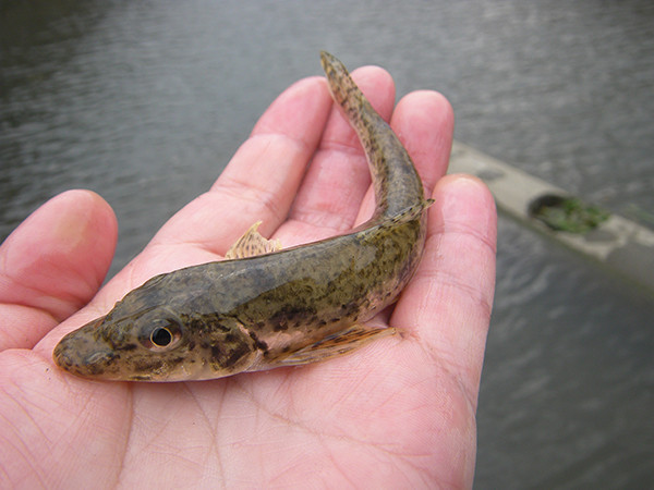 f:id:OIKAWAMARU:20180301083537j:image f:id:OIKAWAMARU:20180301083537j:image