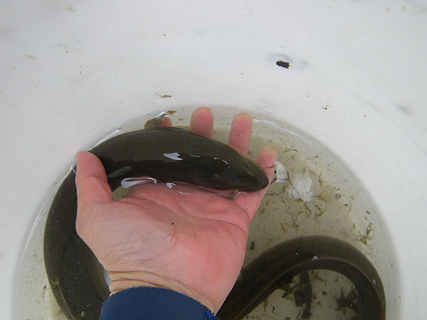 f:id:OIKAWAMARU:20180301083540j:image f:id:OIKAWAMARU:20180301083540j:image