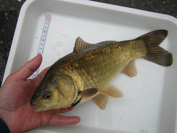 f:id:OIKAWAMARU:20180301083543j:image f:id:OIKAWAMARU:20180301083543j:image