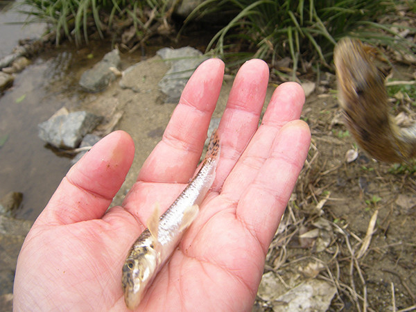 f:id:OIKAWAMARU:20180301084616j:image f:id:OIKAWAMARU:20180301084616j:image