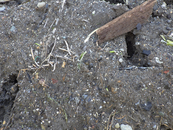 f:id:OIKAWAMARU:20180323223456j:image