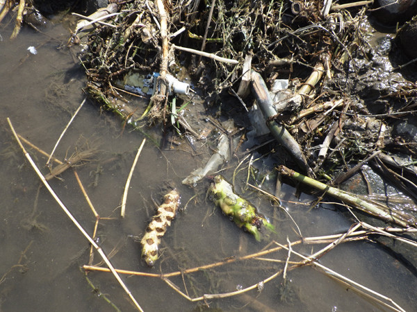 f:id:OIKAWAMARU:20180323223459j:image