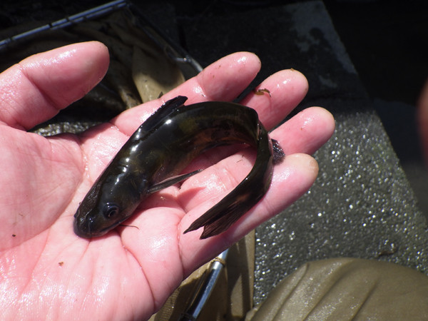 f:id:OIKAWAMARU:20180323223520j:image