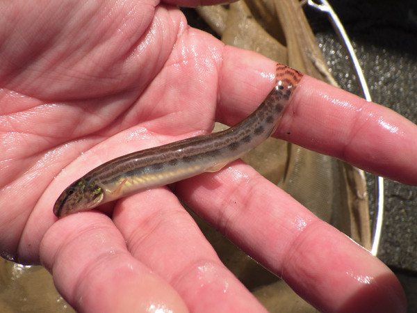 f:id:OIKAWAMARU:20180323223529j:image