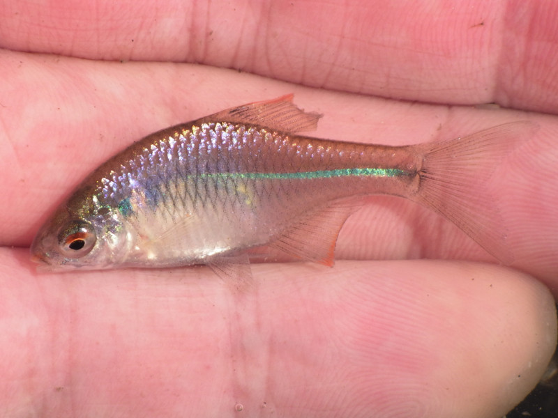 f:id:OIKAWAMARU:20180323223541j:image