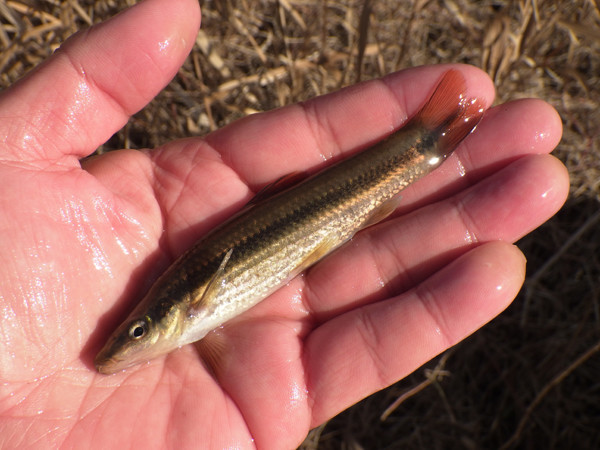 f:id:OIKAWAMARU:20190109213339j:plain f:id:OIKAWAMARU:20190109213339j:plain